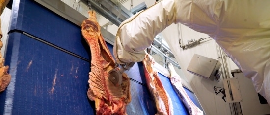 Automated Robotic Beef Rib Cutting System